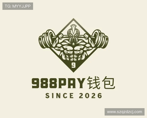 了解988PAY钱包